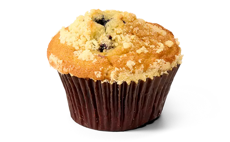 Blueberry_Muffin_Wrapped